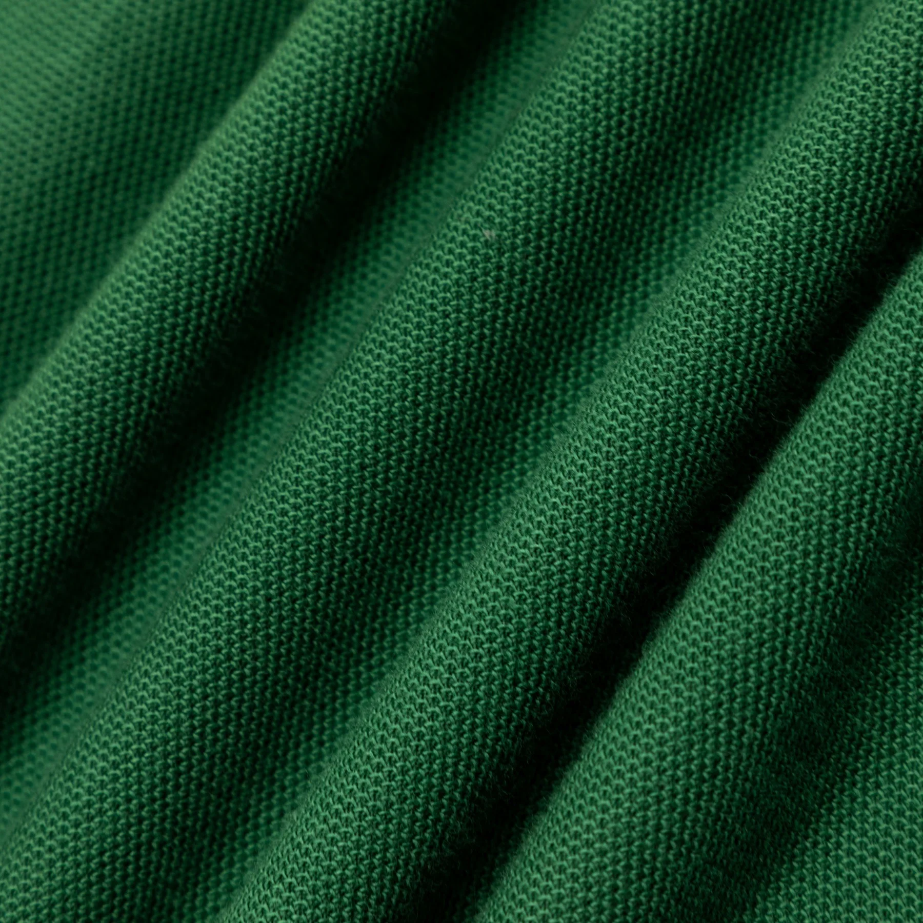 PANTHER RUGBY by GOLF WANG - Image 19